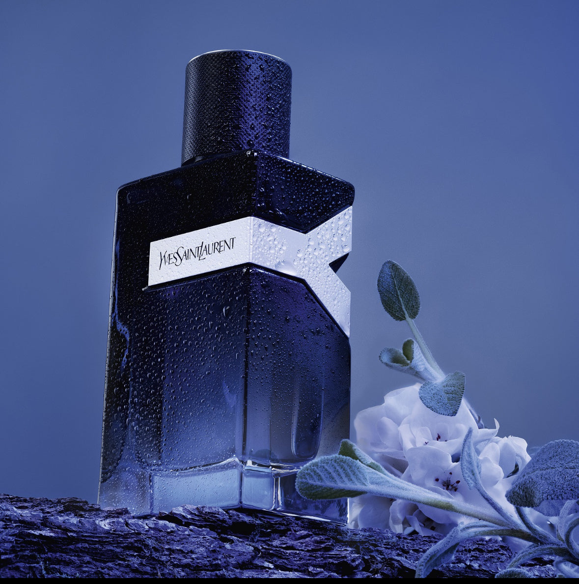 Yves Saint Laurent Eau de Parfum - 100 ml