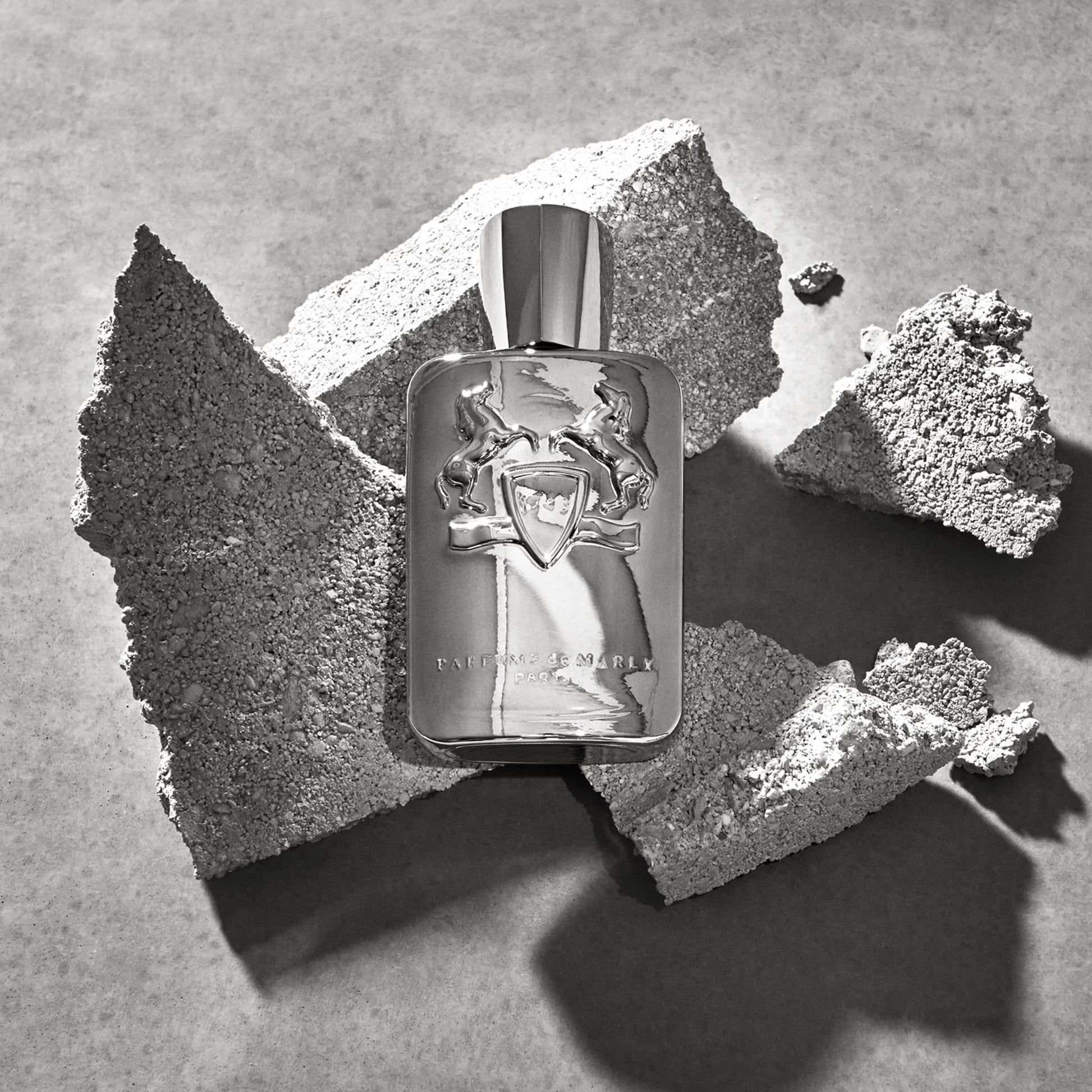PARFUMS DE MARLY Pegasus - 125 ml