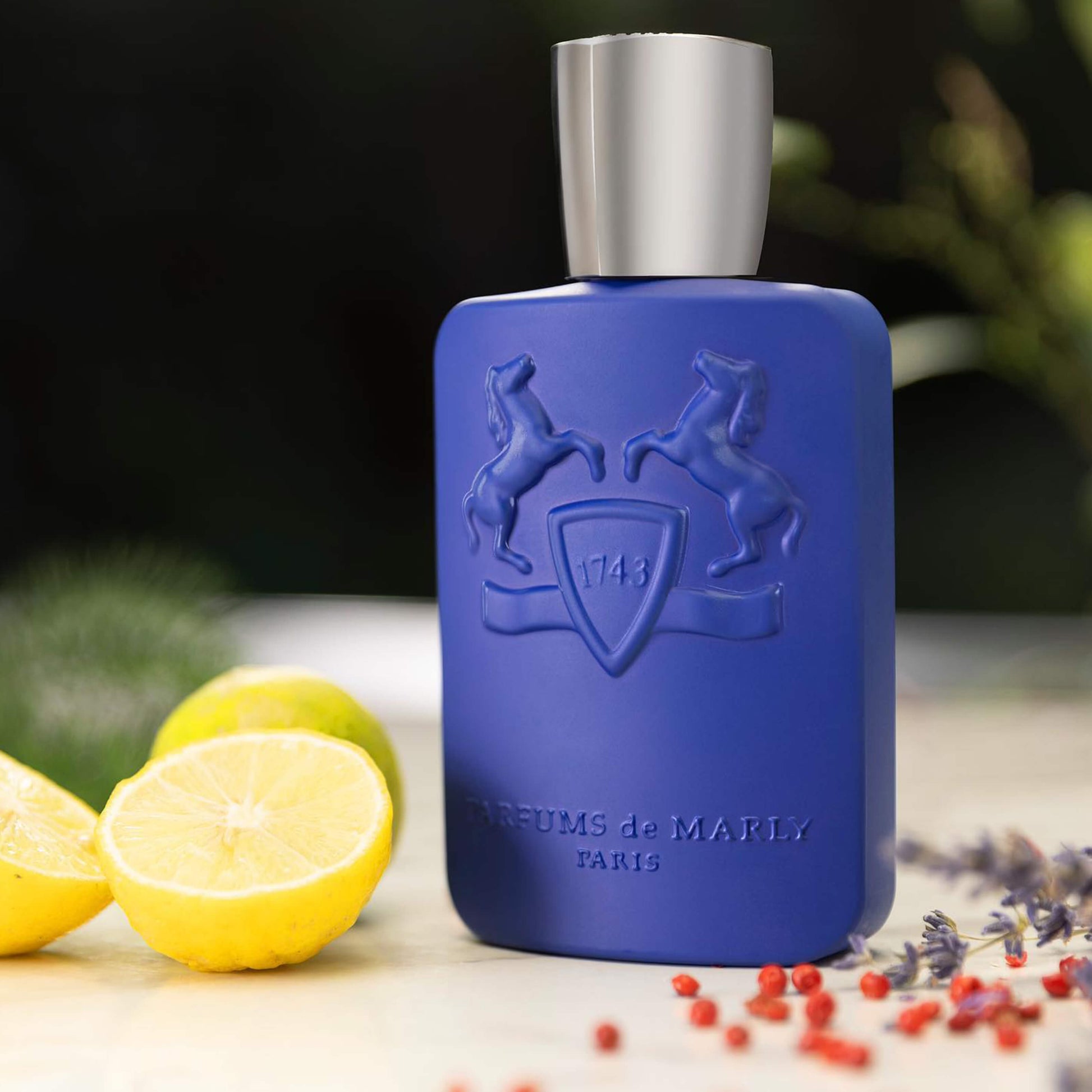 PARFUMS DE MARLY Percival - 125 ml
